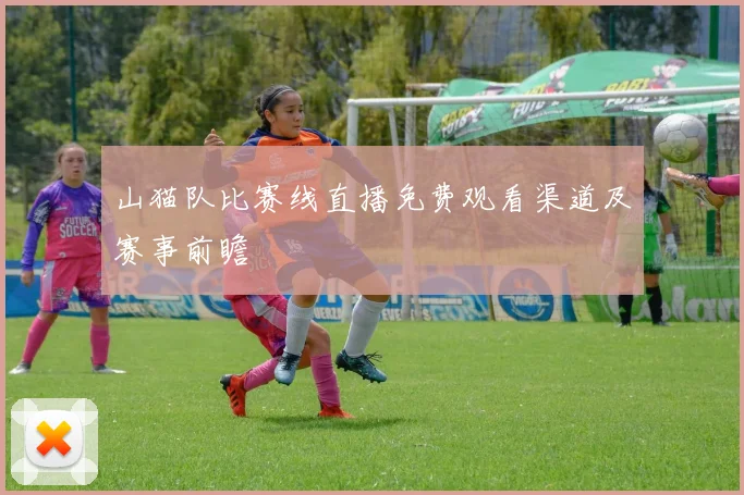 山猫队比赛线直播免费观看渠道及赛事前瞻