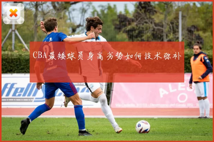 CBA最矮球员身高劣势如何技术弥补