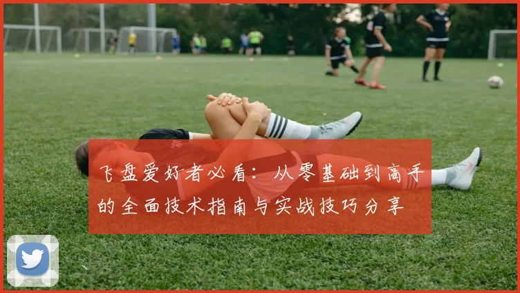 飞盘爱好者必看：从零基础到高手的全面技术指南与实战技巧分享