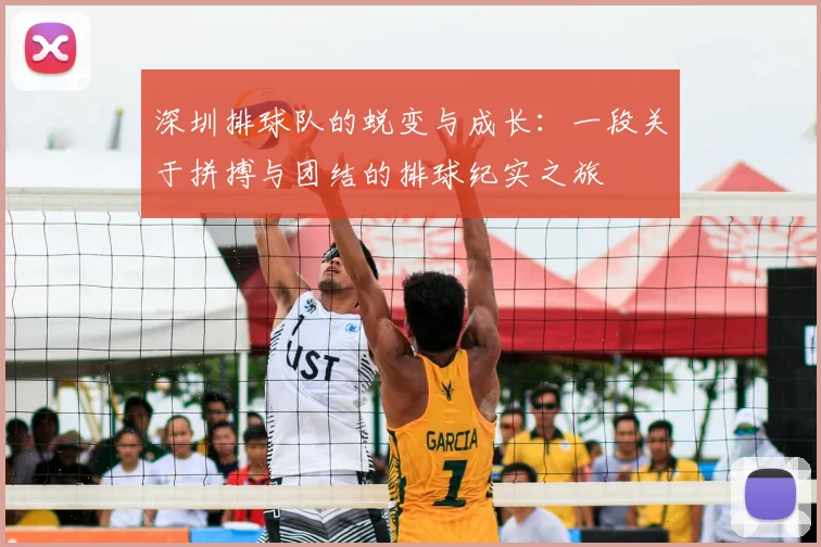 深圳排球队的蜕变与成长:一段关于拼搏与团结的排球纪实之旅