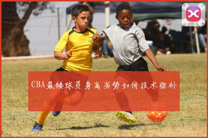 CBA最矮球员身高劣势如何技术弥补