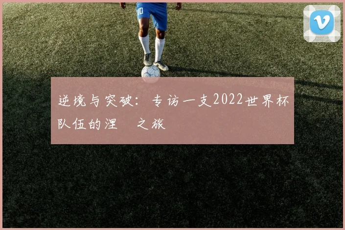 逆境与突破:专访一支2022世界杯队伍的涅槃之旅