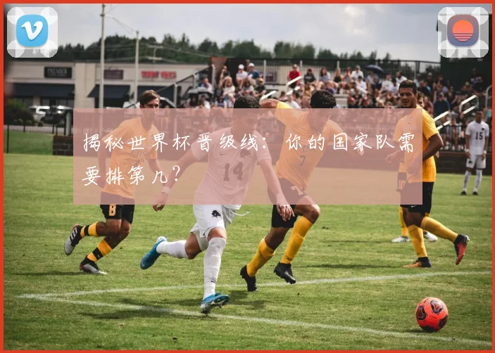 揭秘世界杯晋级线:你的国家队需要排第几?