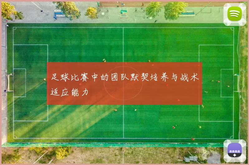 足球比赛中的团队默契培养与战术适应能力