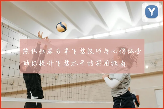 陈伟独家分享飞盘技巧与心得体会助你提升飞盘水平的实用指南