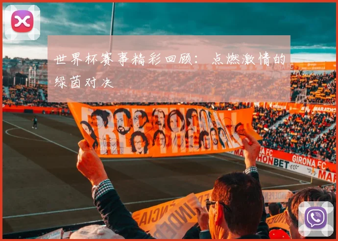 世界杯赛事精彩回顾：点燃激情的绿茵对决