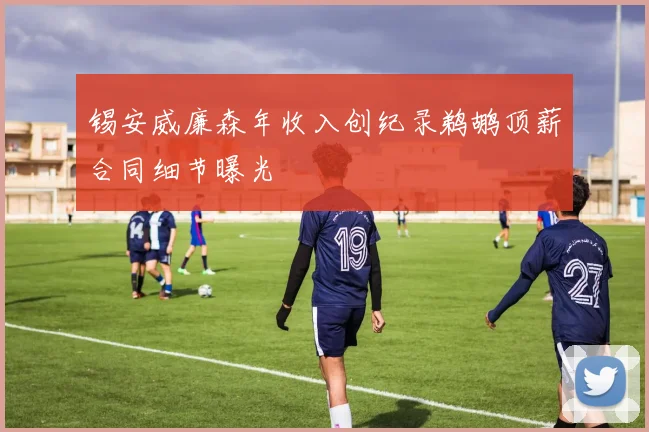 锡安威廉森年收入创纪录鹈鹕顶薪合同细节曝光