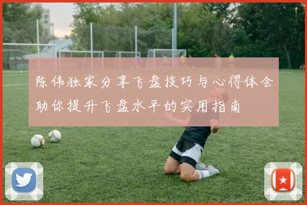 陈伟独家分享飞盘技巧与心得体会助你提升飞盘水平的实用指南