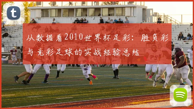 从数据看2010世界杯足彩：胜负彩与竞彩足球的实战经验总结