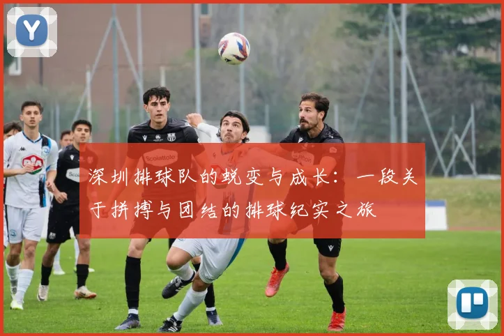 深圳排球队的蜕变与成长：一段关于拼搏与团结的排球纪实之旅