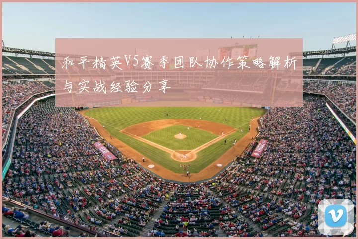 和平精英V5赛季团队协作策略解析与实战经验分享