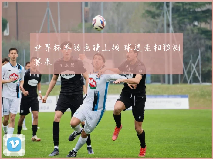 世界杯单场竞猜上线 球迷竞相预测赛果