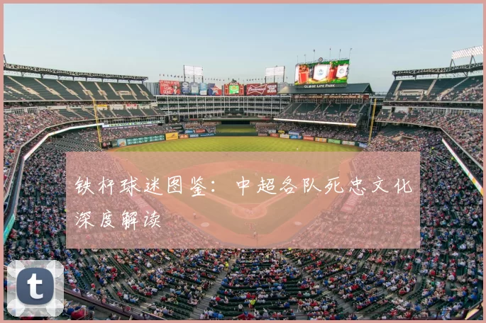 铁杆球迷图鉴：中超各队死忠文化深度解读