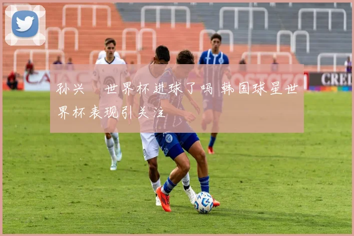 孙兴慜世界杯进球了吗 韩国球星世界杯表现引关注
