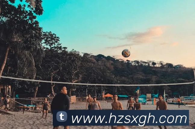 华体会体育APP 封面图